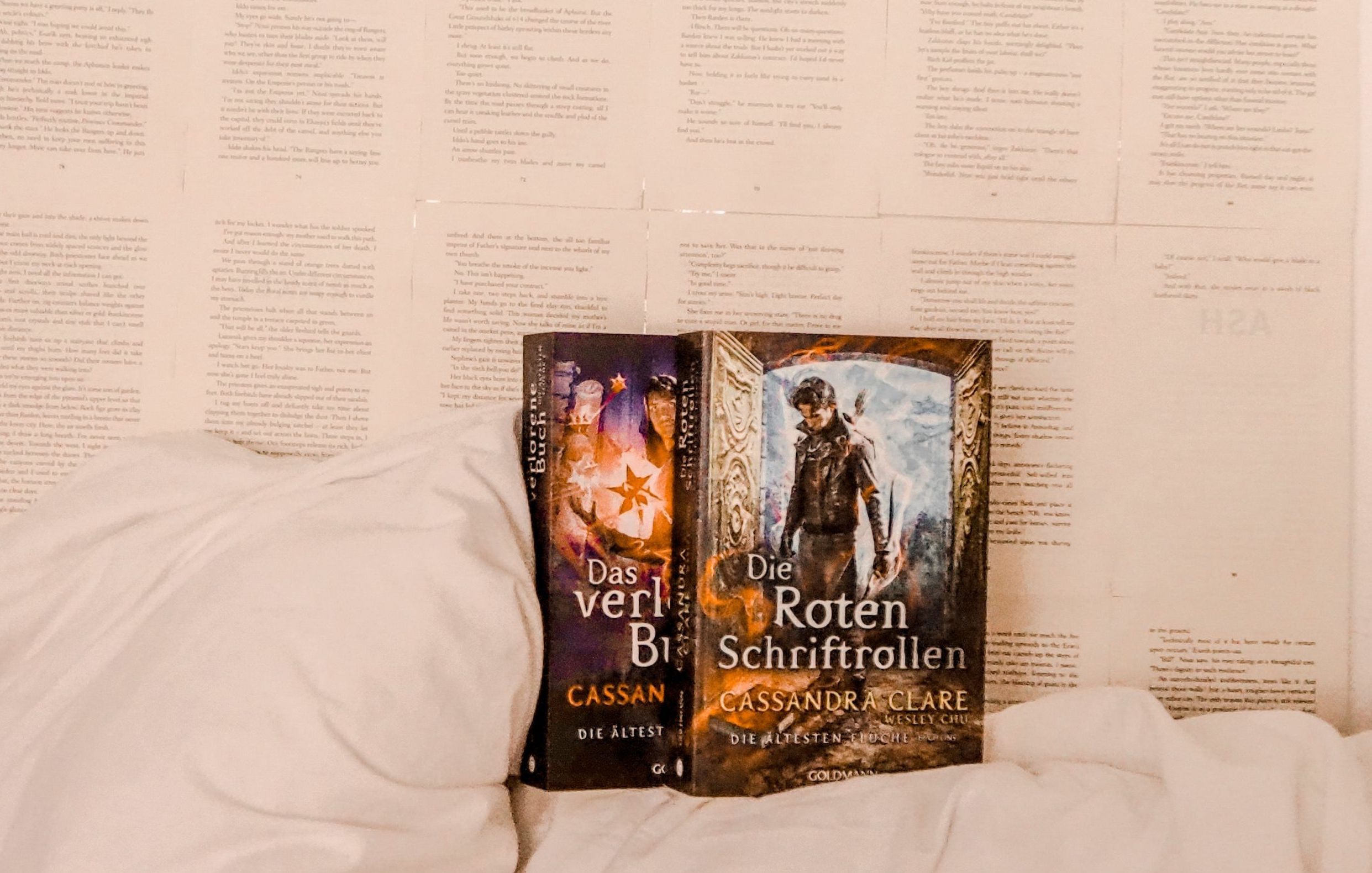 Das verlorene Buch
