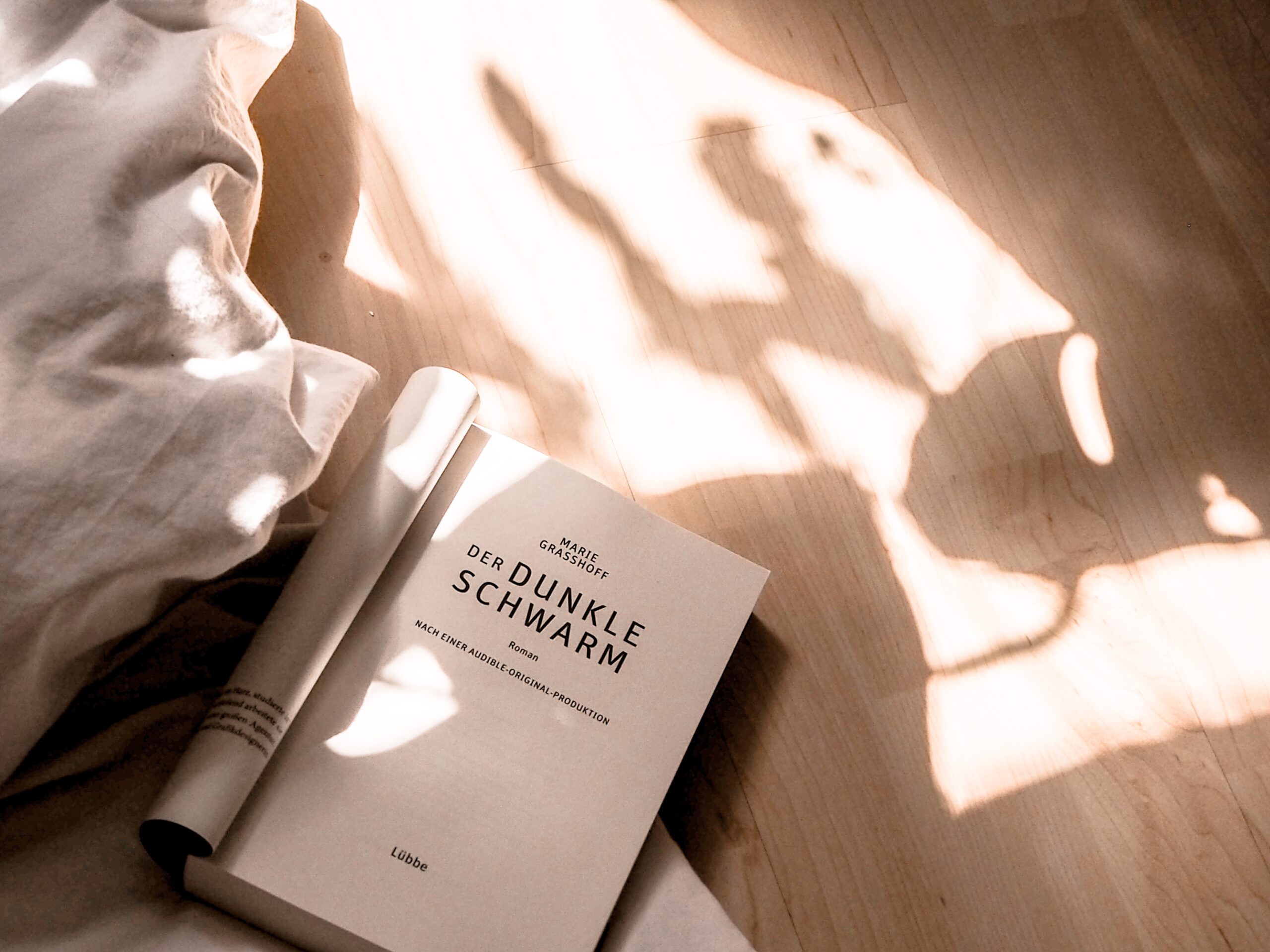der dunkle Schwarm